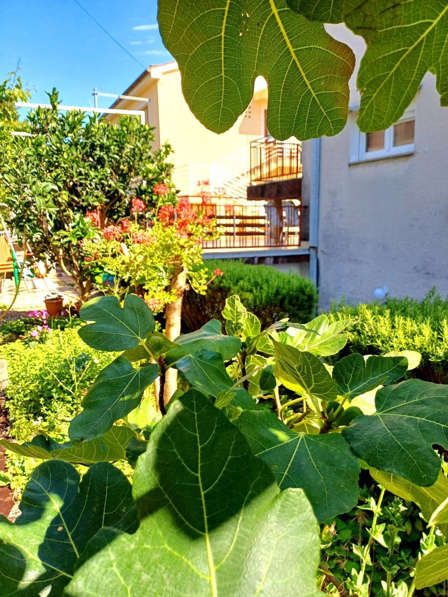 Appartamento Adria Crikvenica Esterno foto