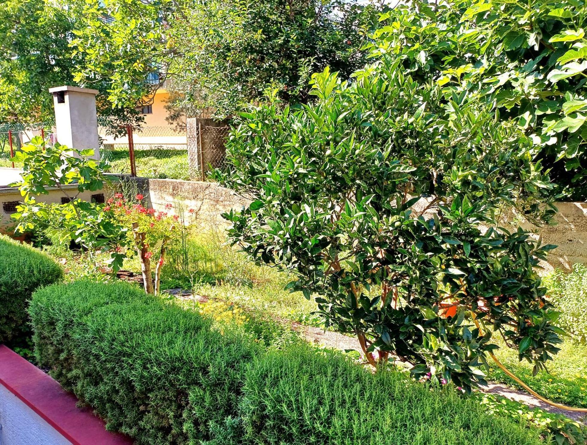 Appartamento Adria Crikvenica Esterno foto